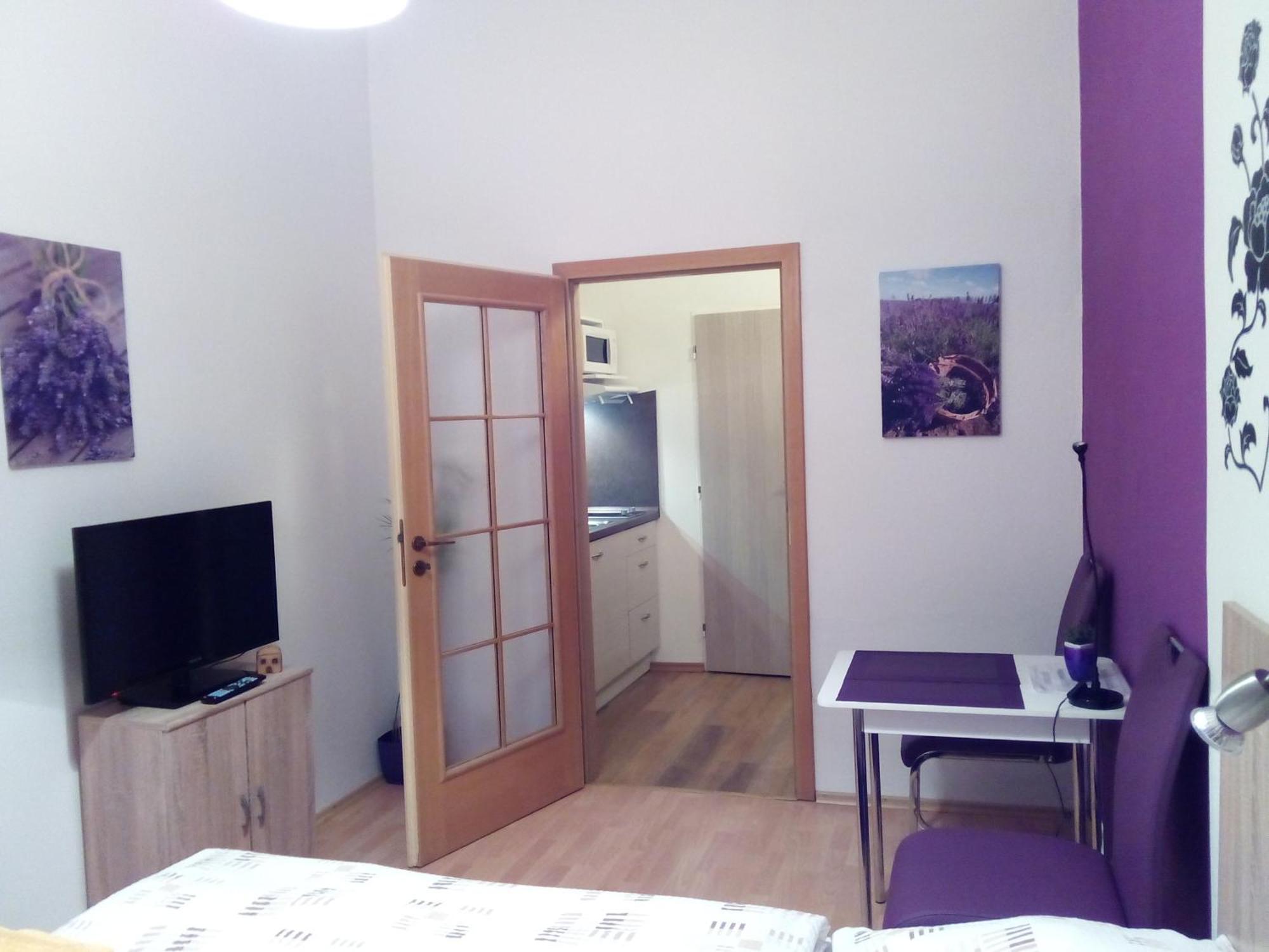 Apartmany - Penzion Smetanka Ceske Budejovice Cameră foto