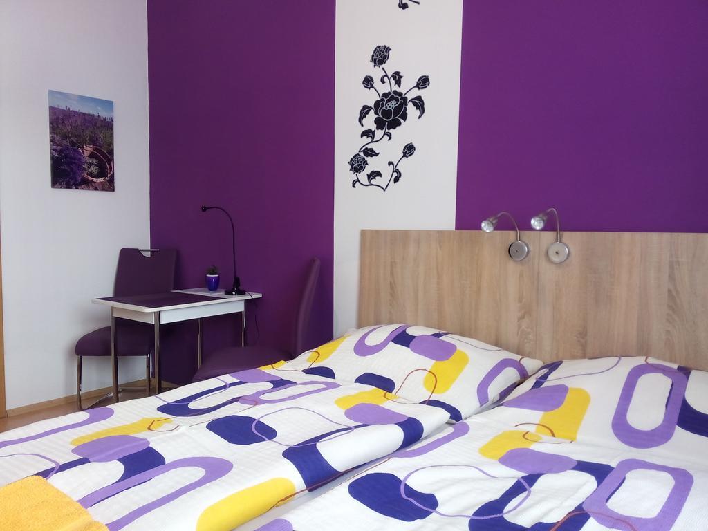 Apartmany - Penzion Smetanka Ceske Budejovice Cameră foto