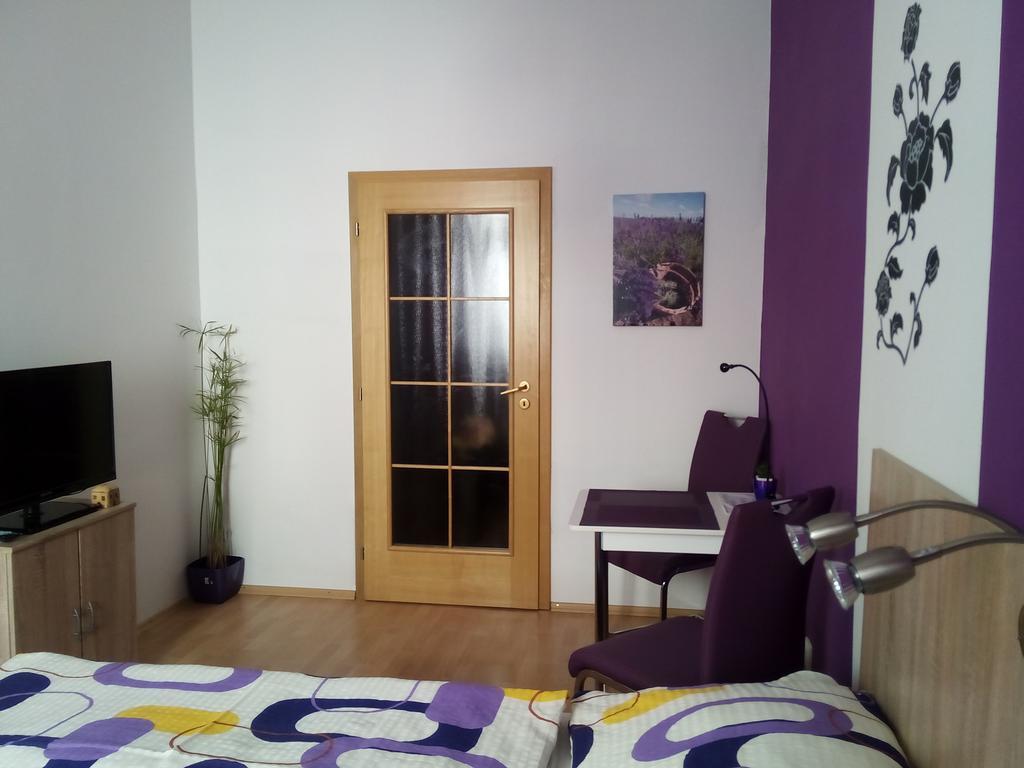 Apartmany - Penzion Smetanka Ceske Budejovice Cameră foto