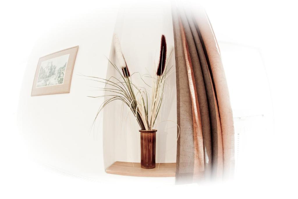 Apartmany - Penzion Smetanka Ceske Budejovice Cameră foto